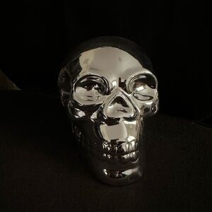 Metallic skull decor